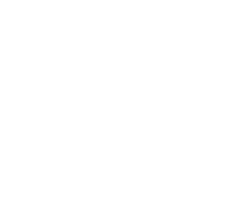 Ketteryn Ribeiro, Advogada Criminalista